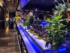-加餐海鲜自助(宝龙一城店)