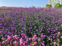 -碧海银沙海鲜餐厅(恒大海上威尼斯店)