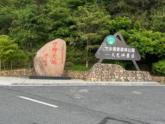 -江南天池