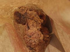 -上帝炸鸡(食品街店)