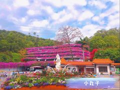 -深圳仙湖植物园