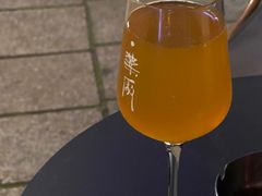 -MEDISN·药厂
