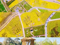 -中国天府农业博览园