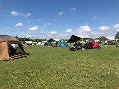 -春花秋色城市公园