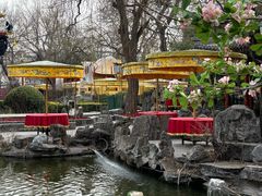 -白家大院·王府宫廷菜(苏州街店)