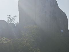 -枸杞岛