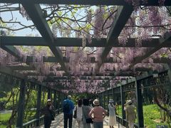 -北京市劳动人民文化宫(太庙)