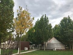 -九十九顶毡房(阜石路店)