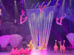 -广州长隆国际大马戏