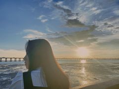 -宝安西湾红树林湿地公园