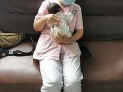 -田螺阿姨自营月嫂·育儿嫂(高新店)