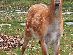 -不觉晓CAMPING(上海迪士尼营地店)