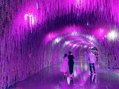 景点-沈阳方特欢乐世界