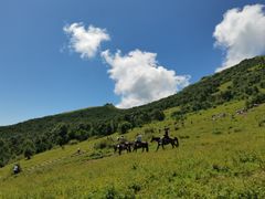 -灵山