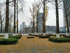 -百林公园-两江幸福广场