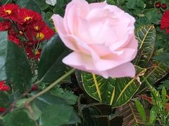 -人民公园(罗湖区)