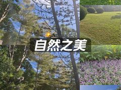 -四海公园(南山区)