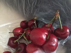 -鲜力达果品批发直销(青山店)