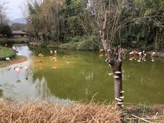 -杭州野生动物世界