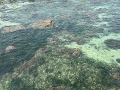 -三亚西岛海洋文化旅游区