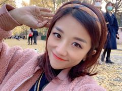 -三里屯东五街银杏大道