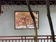 -秋霞圃