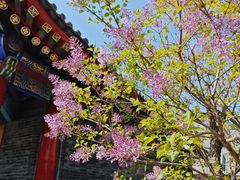 -西安市广仁寺