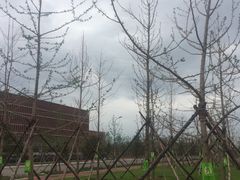 -东北大学(南湖校区)