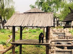 -石家庄市动物园