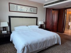 -常州武进九洲喜来登酒店