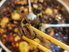 鸡肉-黑竹香鸡(营和巷店)