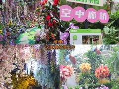 -正佳雨林生态植物园