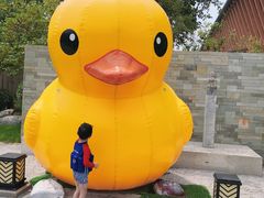 -思念果岭悦温泉