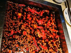 -二荆条·蜀鲜汇城市森林火锅