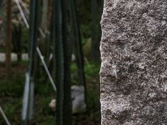 -MOJ coffee(瓯海泽雅水碓坑店)