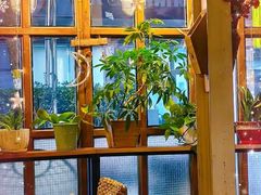 -Cafe Alice咖啡爱丽丝(奥城店)