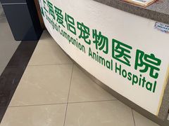-爱侣宠医·鹦鹉专科·小型哺乳类·异宠专科(灵石路店)