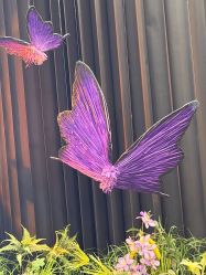 -苏州奥拉克美容医院