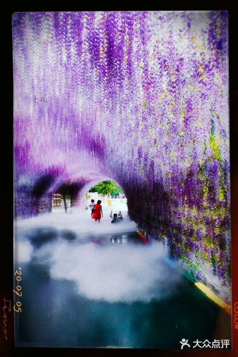 沈阳方特欢乐世界图片