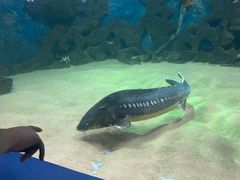 -厦门海底世界
