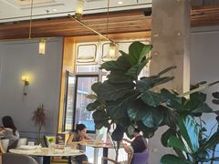 -荷恬·精致蔬食料理(星海店)