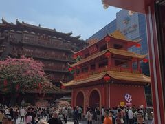 -越秀西湖花市(广州城市广场花卉店)