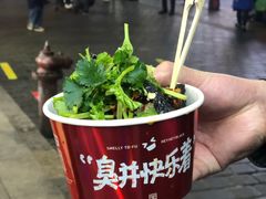 -黑色经典臭豆腐·湖南特产(坡子街店)