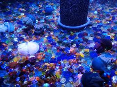 -成都浩海立方海洋公园