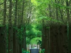-同里国家湿地公园