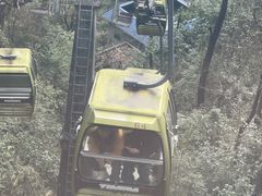 -黔灵山公园