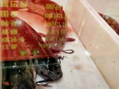 -王老六铁锅炖鱼(圣亚海洋店)