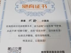 -纳吉亚猫专科动物医院·北北分院