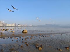 -深圳湾公园(南山区)