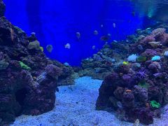 -成都浩海立方海洋公园